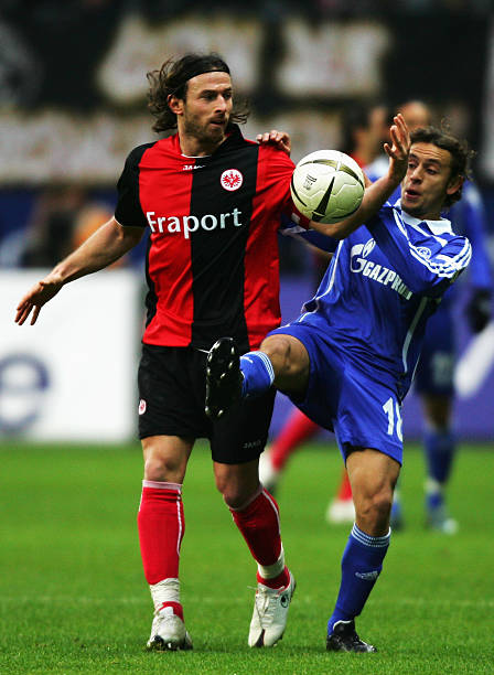 他的战术定 他的战术定